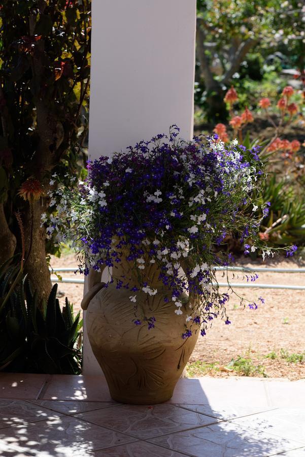 Uliveto House Bed & Breakfast Castellammare del Golfo Exterior photo