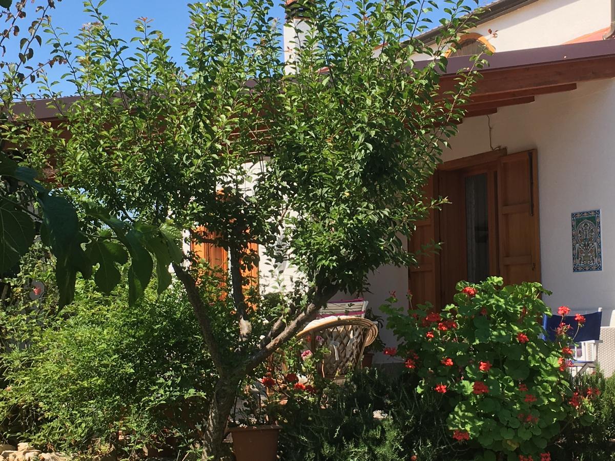 Uliveto House Bed & Breakfast Castellammare del Golfo Exterior photo